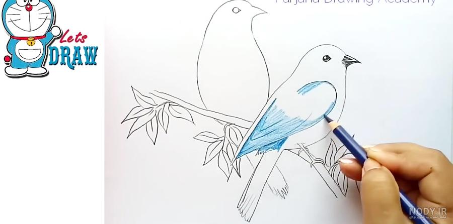نقاشی زیبا پرنده