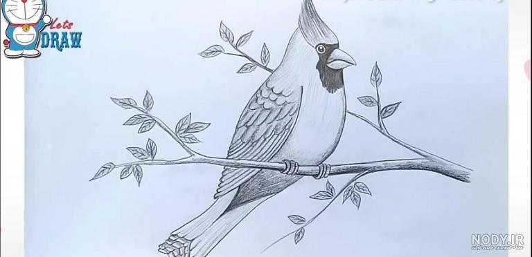 نقاشی پرنده خیالی