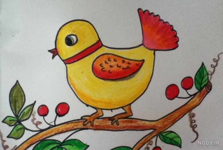 نقاشی پرنده زیبا و آسان
