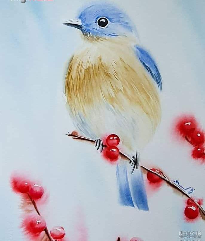 نقاشی پرنده زیبا کودکانه
