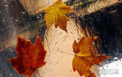 تصاویر پاییز بارانی عاشقانه