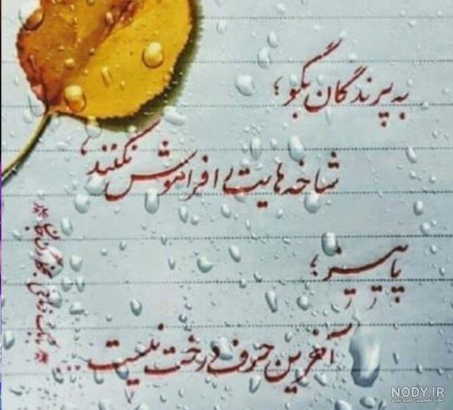 عکس زیبا پاییزی برای پروفایل عکس زیبا پاییزی برای پروفایل