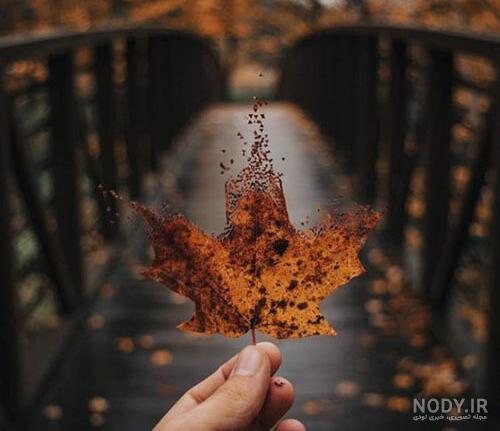 عکس زیبای پاییزی با متن