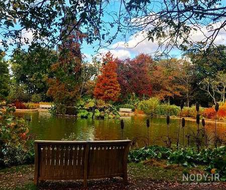 عکس زیبای پاییزی عاشقانه عکس زیبای پاییزی عاشقانه