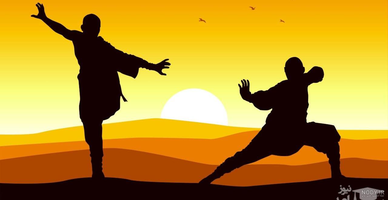 عکس هنر های رزمی