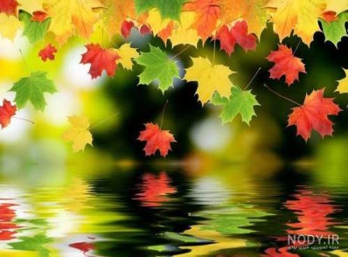عکسهای متحرک پاییزی و بارانی
