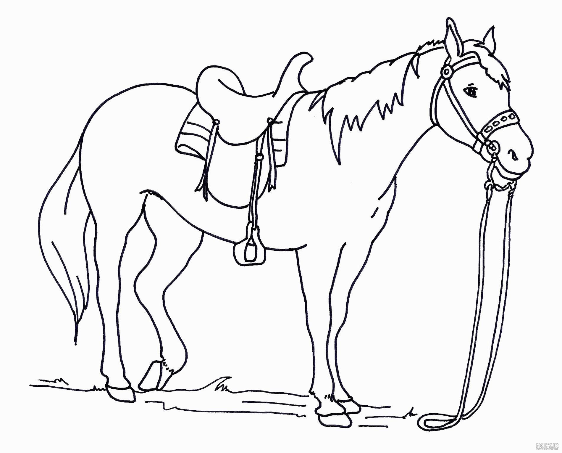 عکس نقاشی ساده از اسب