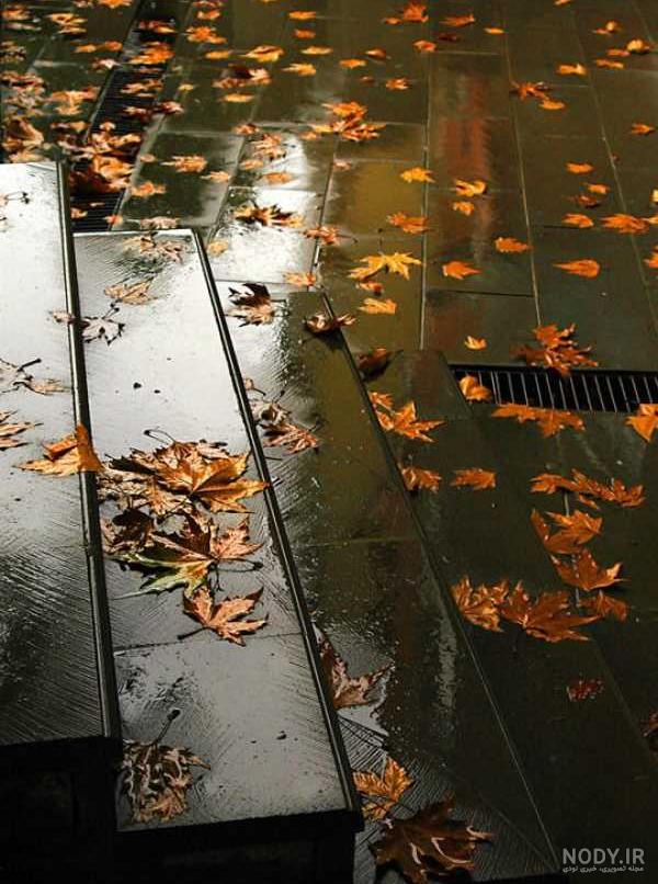 عکس بارون پاییزی بدون متن