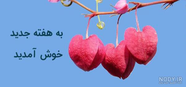 عکس روز شنبه بخیر