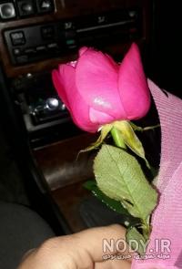 عکس فیک دخترونه گل