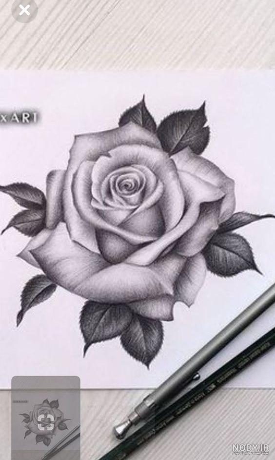 گل رز طرح تاتو گل