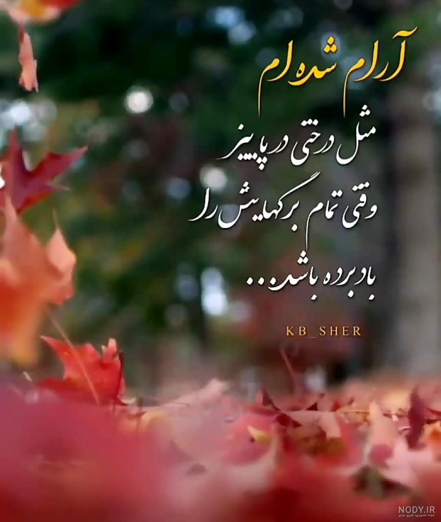استوری زیبا پاییز