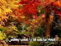 استوری زیبا پاییزی برای واتساپ