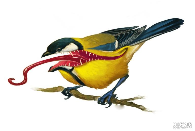 عکس پرنده زامبی