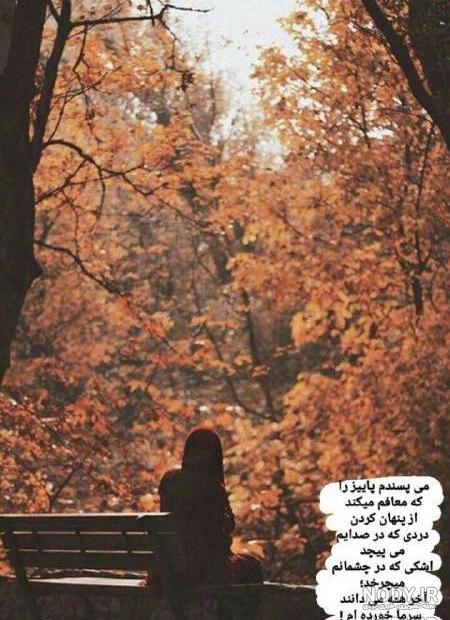 استوری هوای پاییزی