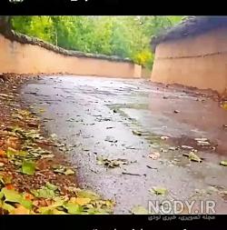 عکس هایی از باران پاییزی عکس هایی از باران پاییزی