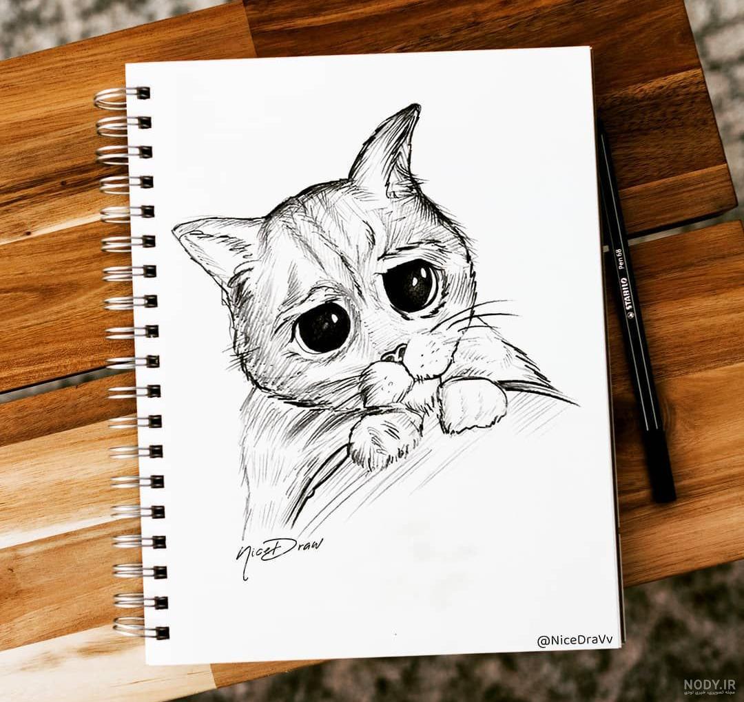 عکس نقاشی ساده گربه عکس نقاشی ساده گربه
