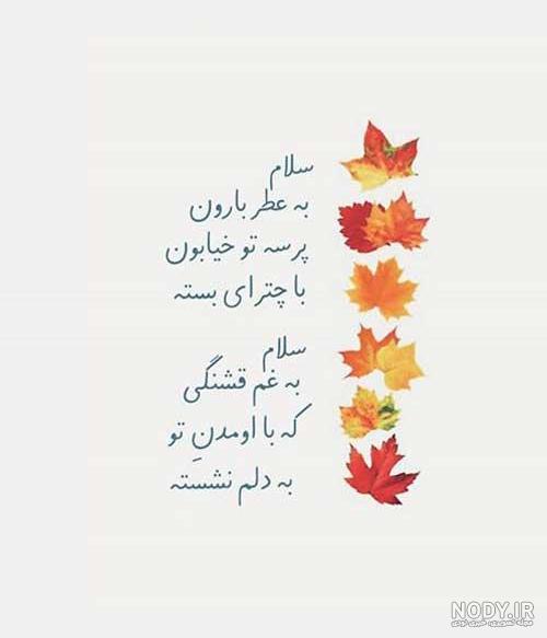 استوری میوه های پاییزی