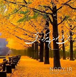 استوری پاییز یعنی یک غم دیگه