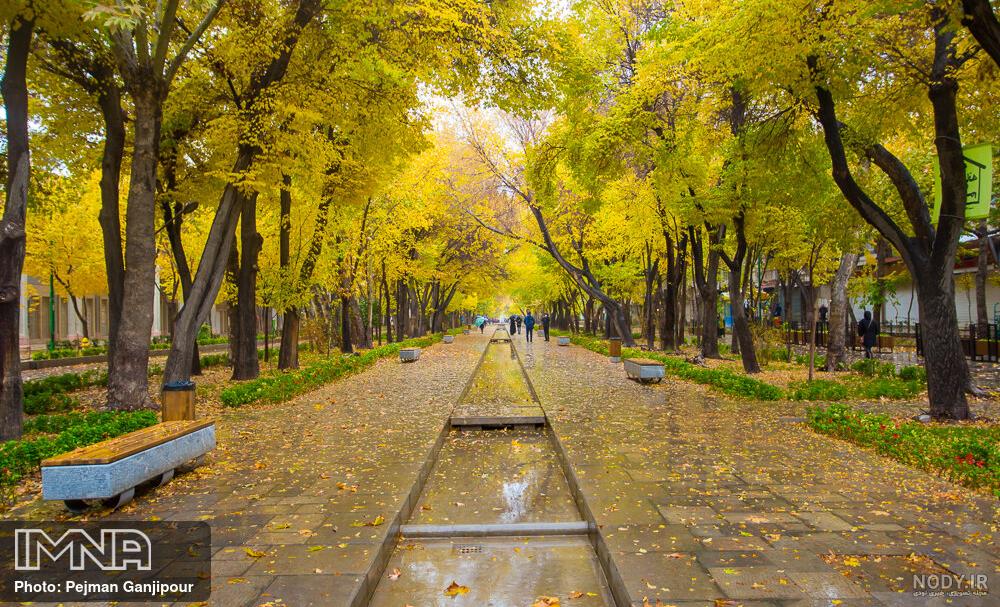 عکس طبیعت پاییز بارانی