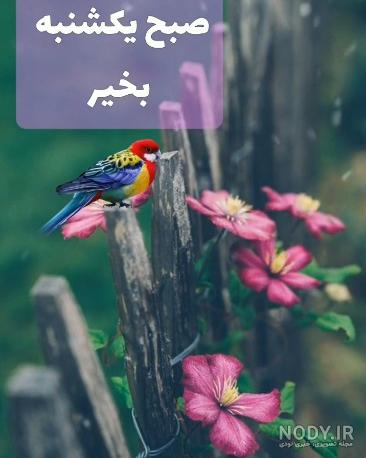 عکس نوشته روز یکشنبه صبح بخیر