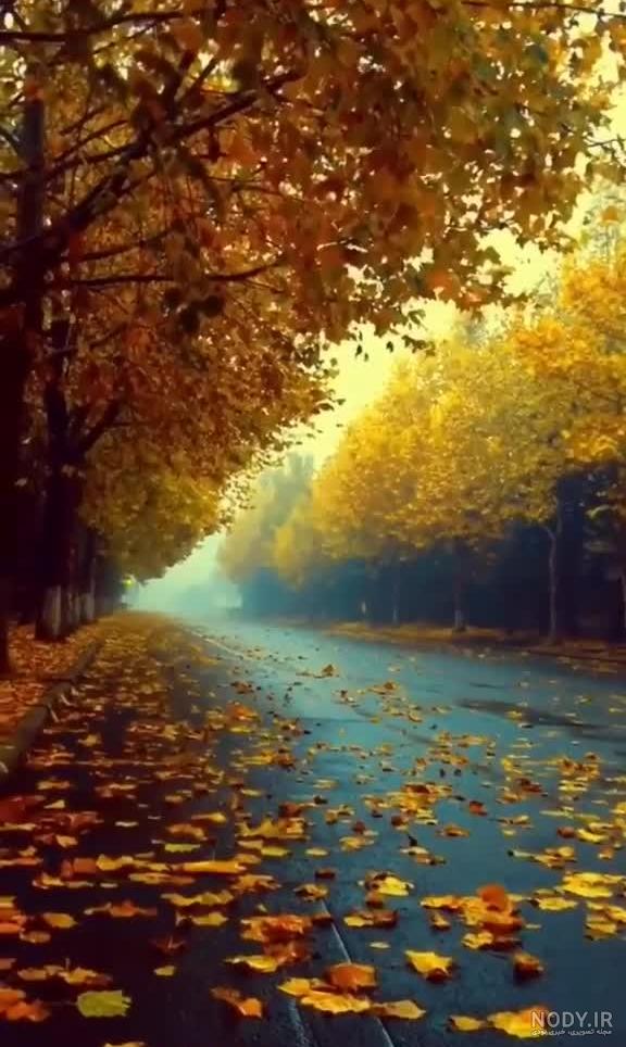 عکس پاییزی برای استوری واتساپ عکس پاییزی برای استوری واتساپ