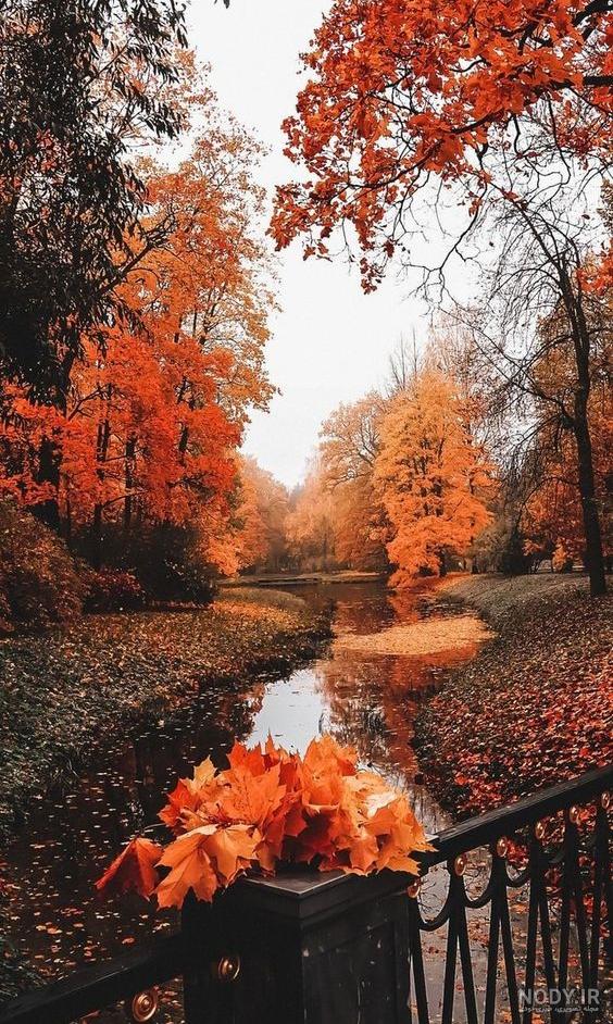 عکس زیبای پاییزی برای صفحه گوشی