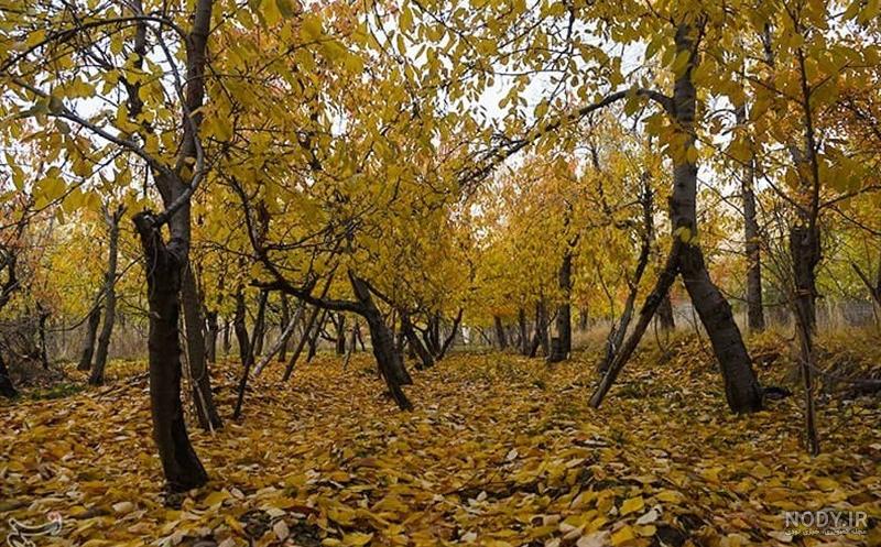 عکس پاییز روستایی