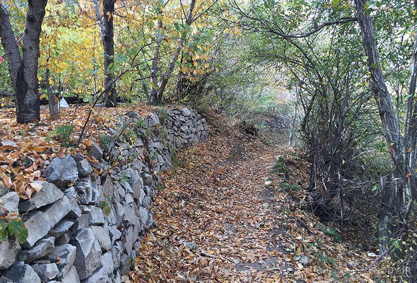 عکسهای پاییزی روستا