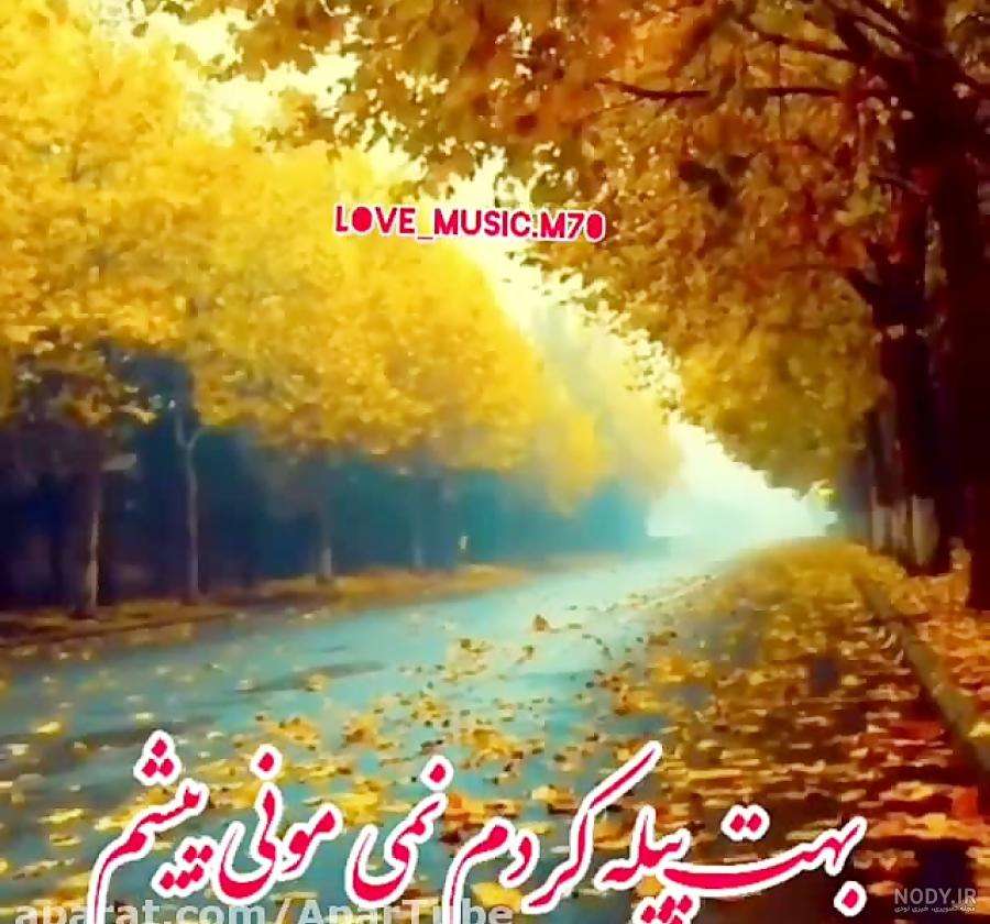 استوری عصر پاییزی