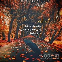 استوری پاییز شادمهر