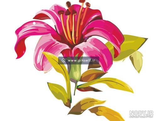 نقاشی گل برای حاشیه