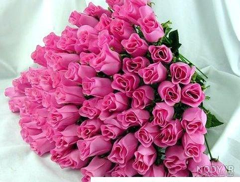 نقاشی گل رز