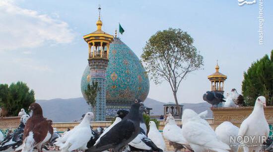 عکس بزرگداشت شاهچراغ