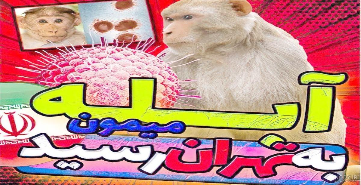 آبله گاوی