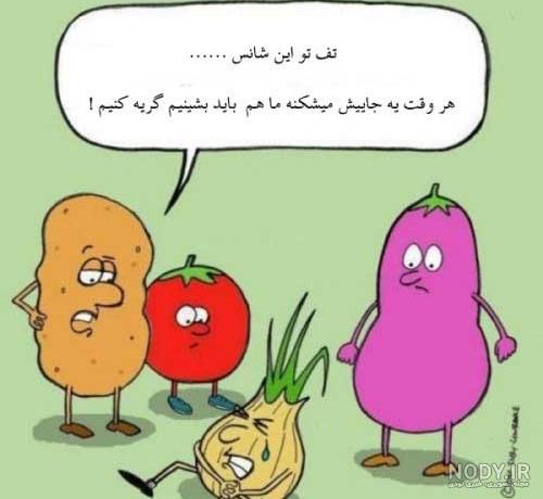 عکس های خنده دار گرما عکس های خنده دار گرما