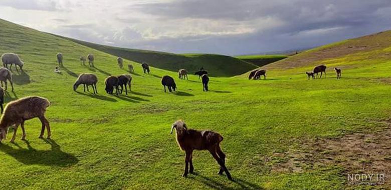 تصاویر تاریخی افغانستان