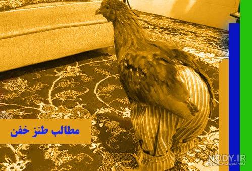 عمه عاشقتم عمه عاشقتم
