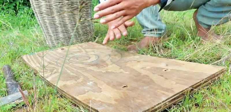 عکس اوج گرفتن عقاب