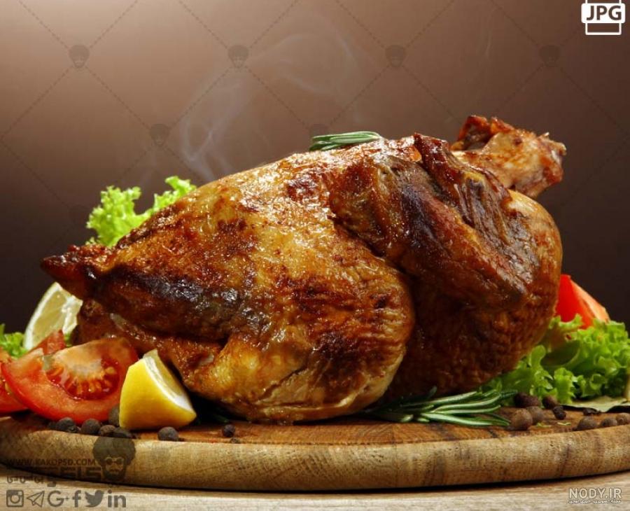 عکس غذای پلنگ