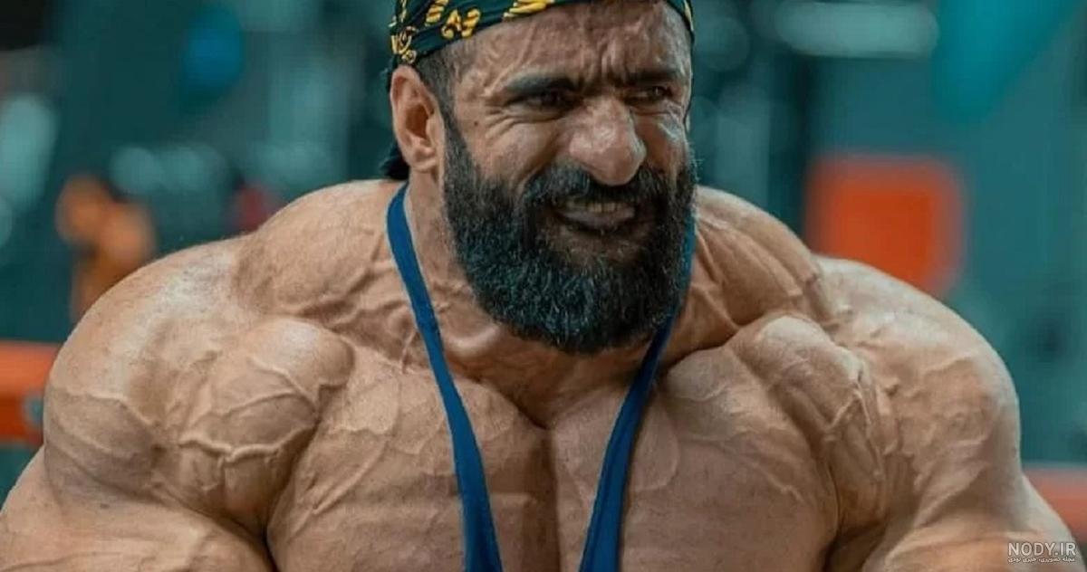 عکس هالک