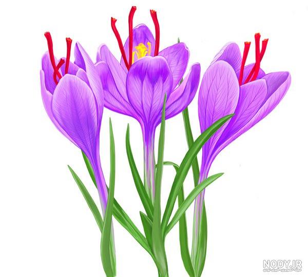 احسان اسپندار احسان اسپندار