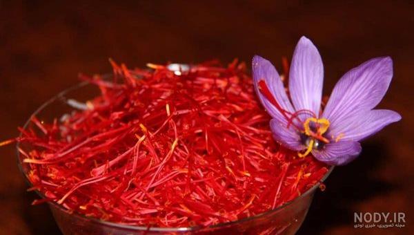 عکس زعفران و ریحان عکس زعفران و ریحان