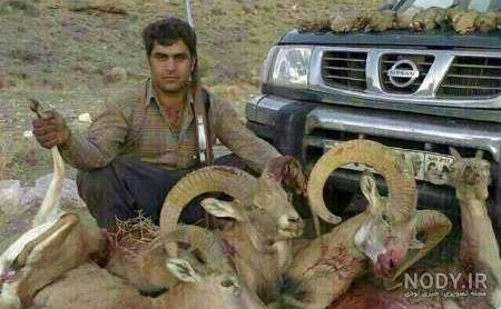 موتورسیکلت
