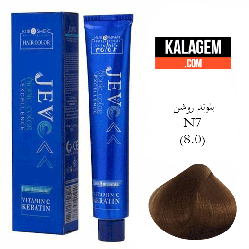 شنیون شنیون
