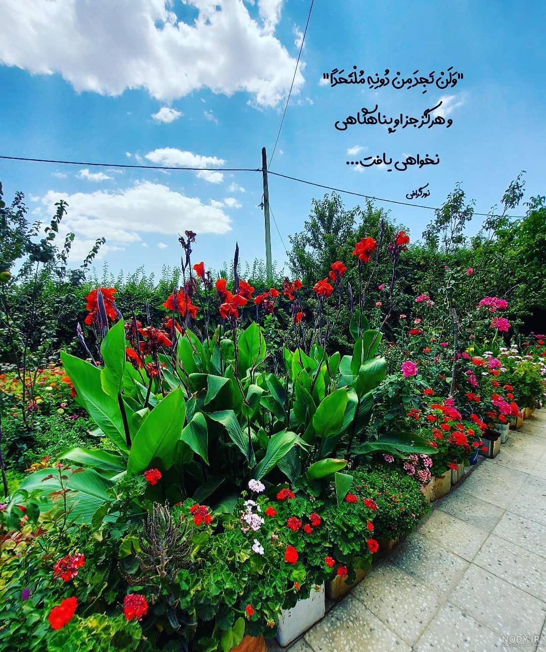 پروف پروف