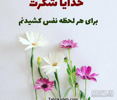 عکس پروفایل خدایا شکرت زیبا
