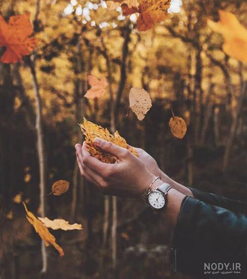 عاشقانه عاشقانه