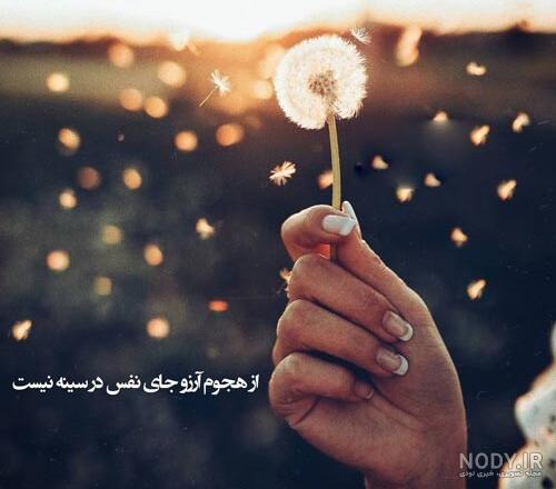 نوشته