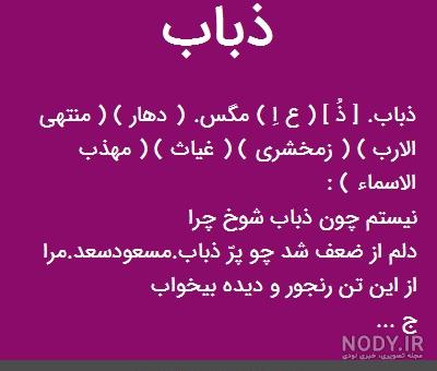 عکس حیوان ذباب